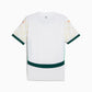 maillot-cote-d-ivoire-exterieur-2025-back